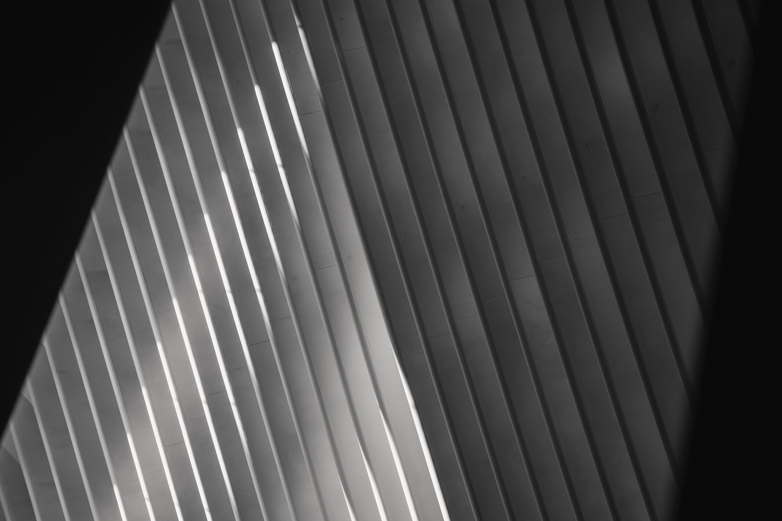 Parallax Image
